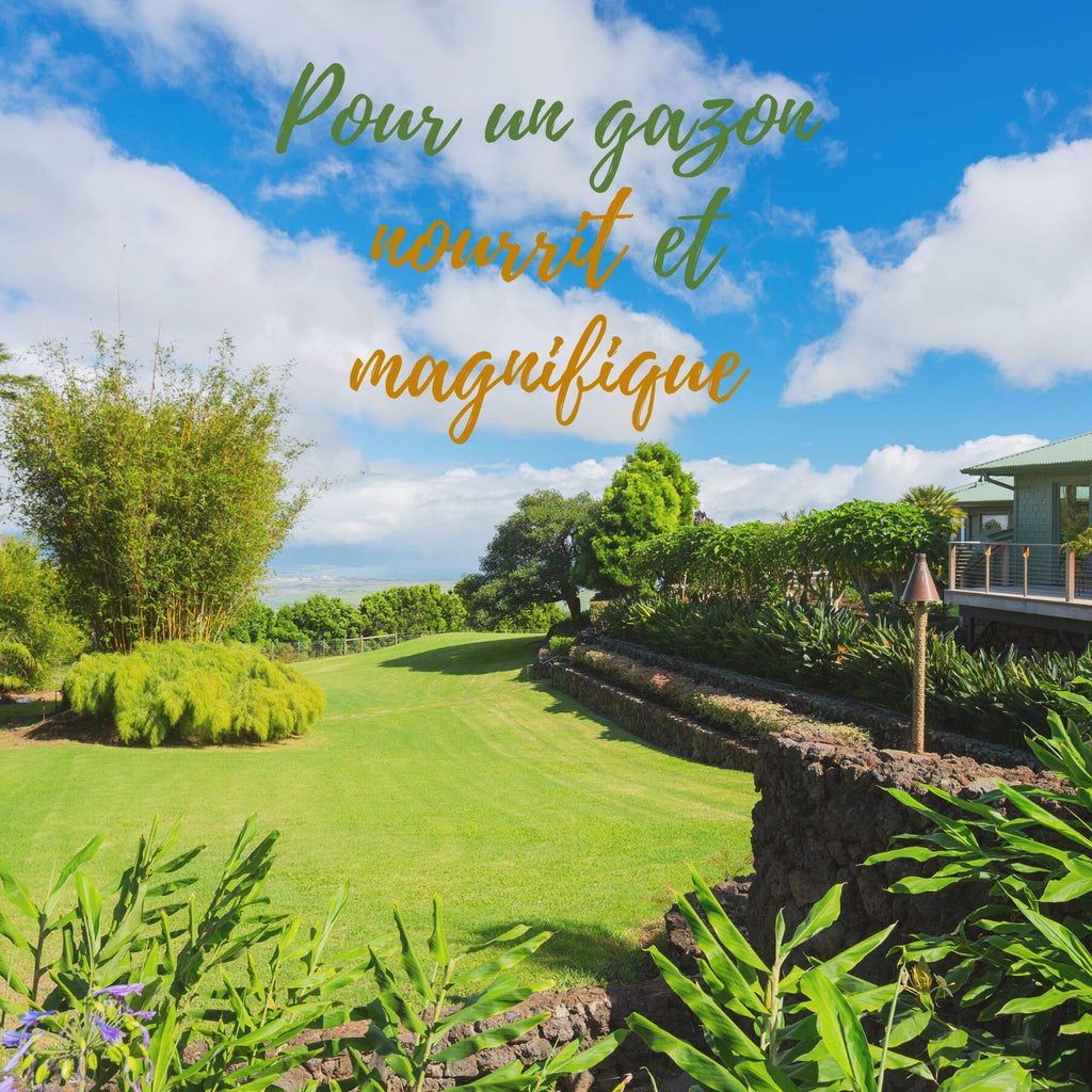 🌱 R’Garden – Engrais Organique Mixte Pelouse 🌿 | Engrais Écologique ♻️ | Fertilisant Naturel 🌾 | Nourrit en Profondeur 💧 | Facile d’Utilisation 🛠️