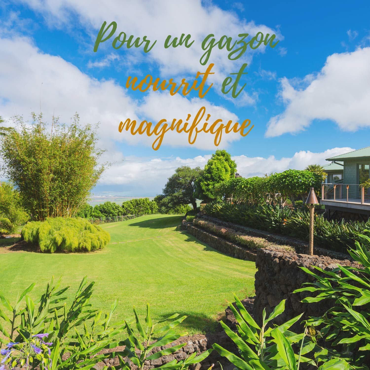 🌱 R’Garden – Engrais Organique Mixte Pelouse 🌿 | Engrais Écologique ♻️ | Fertilisant Naturel 🌾 | Nourrit en Profondeur 💧 | Facile d’Utilisation 🛠️