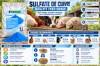 Sulfate de Cuivre - Poudre bleue