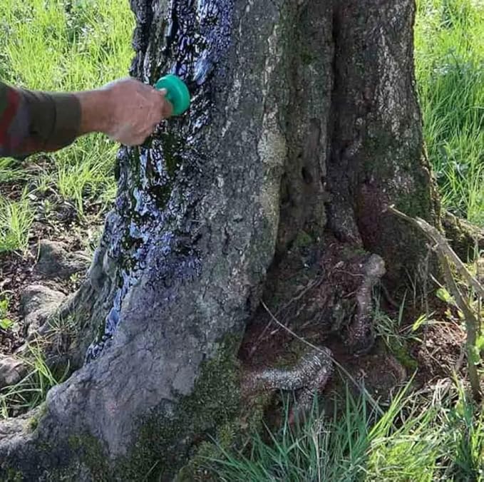 Goudron Végétal 🌲 | Attractif Sangliers Naturel 🐗 | Goudron de Bois Brut sans Créosote 🚫🧪 | Longue Durée ⏳ | Résistant à la Pluie 🌧️ | Conditionné en France 🇫🇷